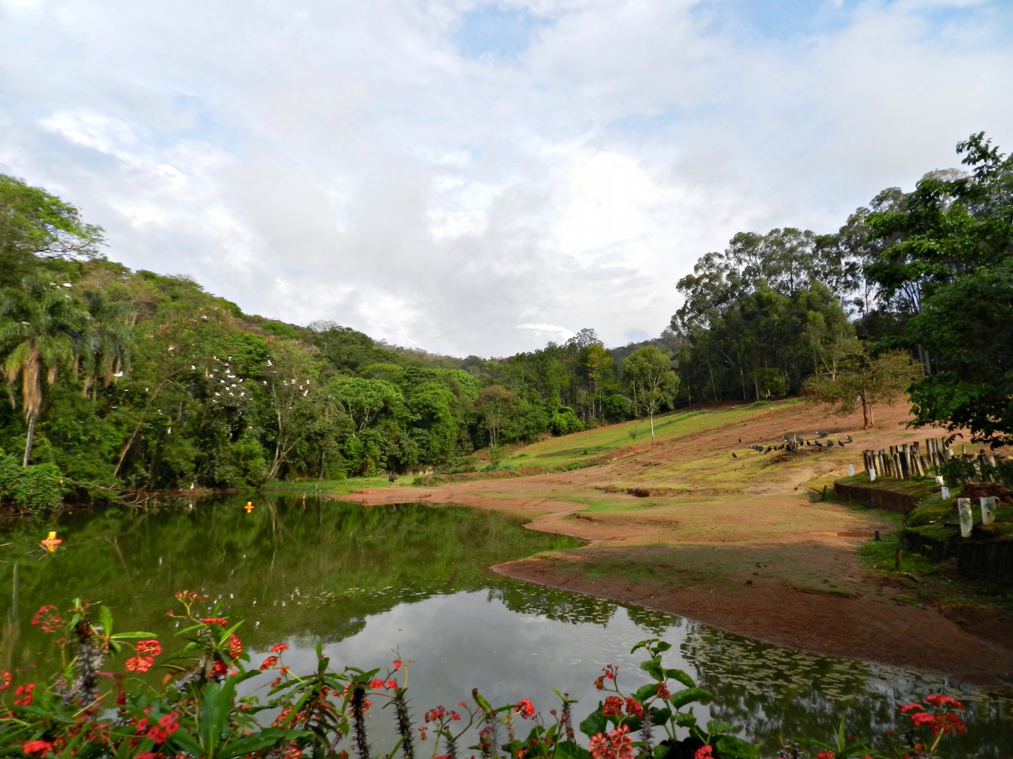 Savanna exhibit - Zooparque Itatiba