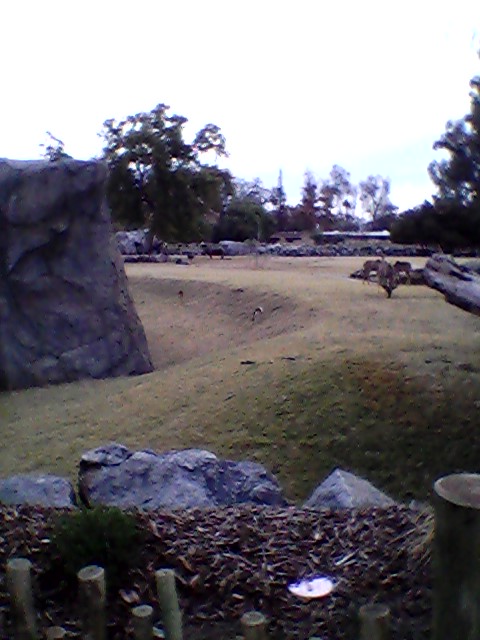 Savanna exhibit