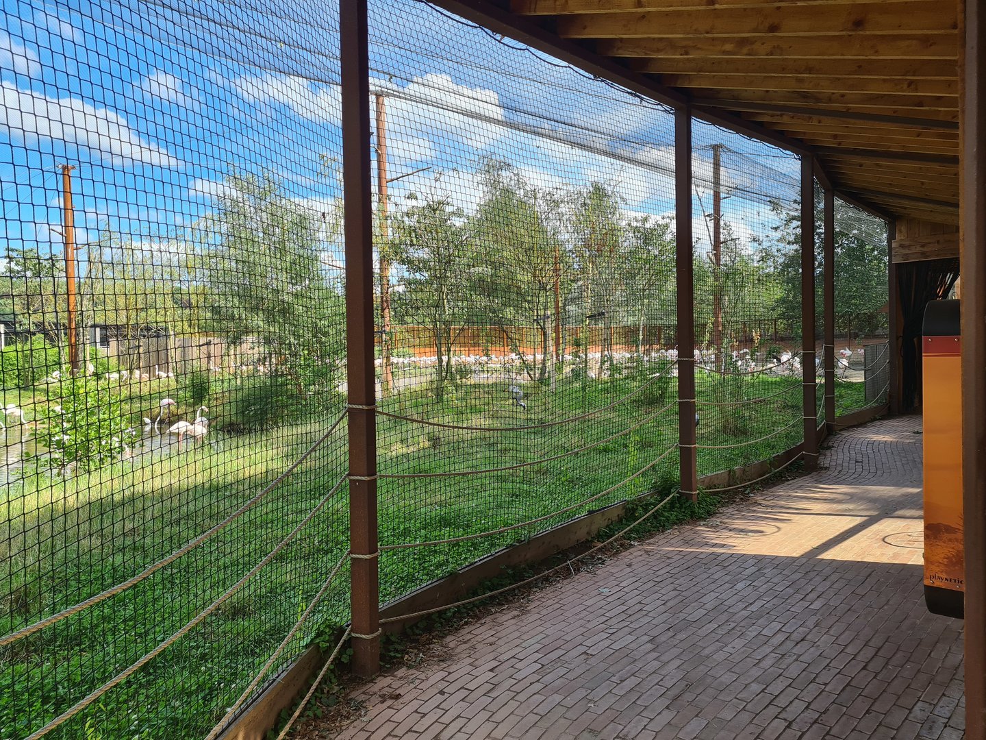 Savanna - Flamingo aviary viewing area