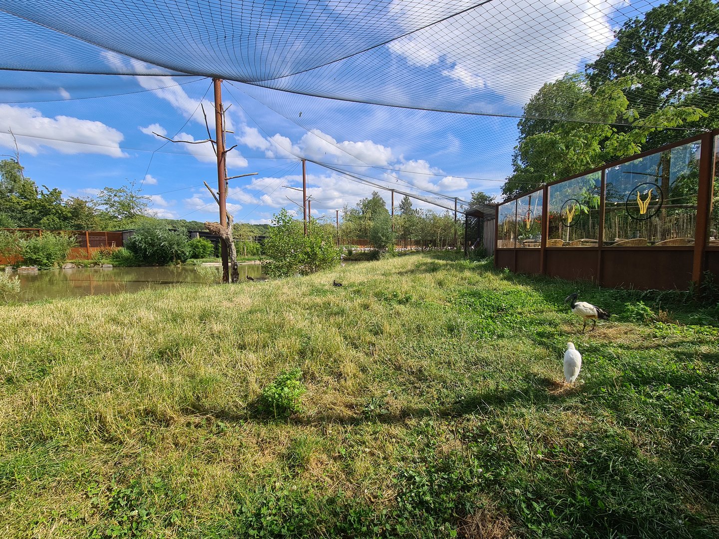 Savanna - Flamingo aviary