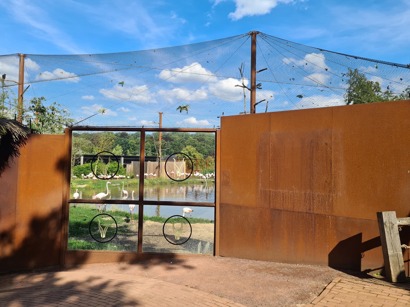 Savanna - Flamingo aviary