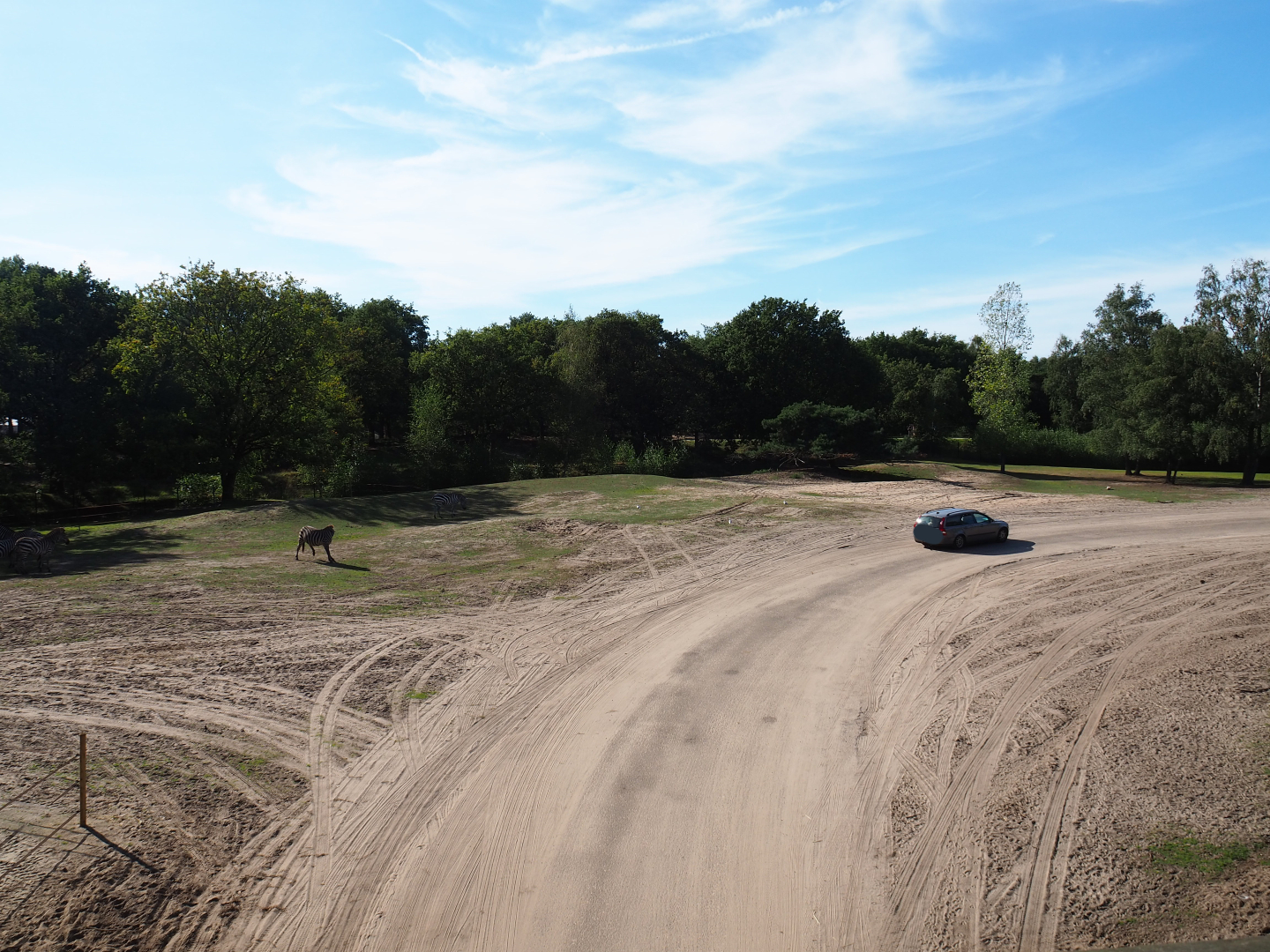 Savanna hoofstock paddock with car and bus safari, 2019-09-15