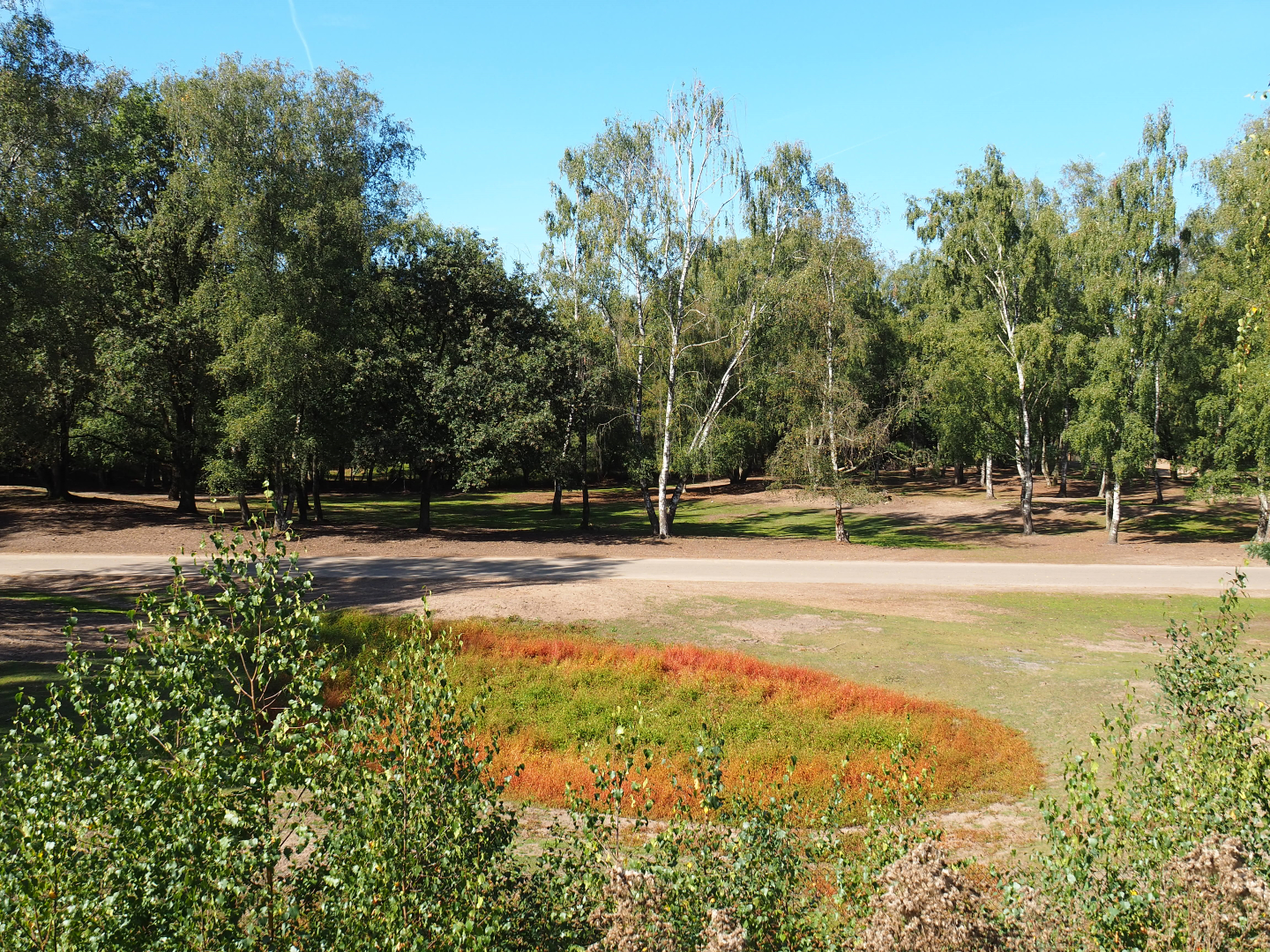 Savanna hoofstock paddock with car and bus safari, 2019-09-15
