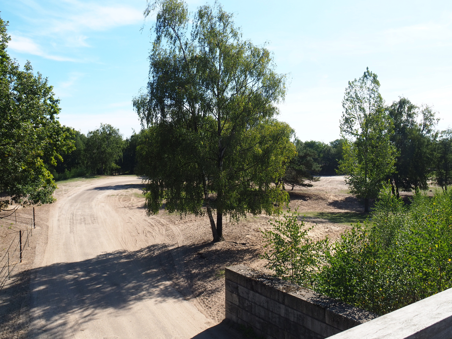 Savanna hoofstock paddock with car and bus safari, 2019-09-15