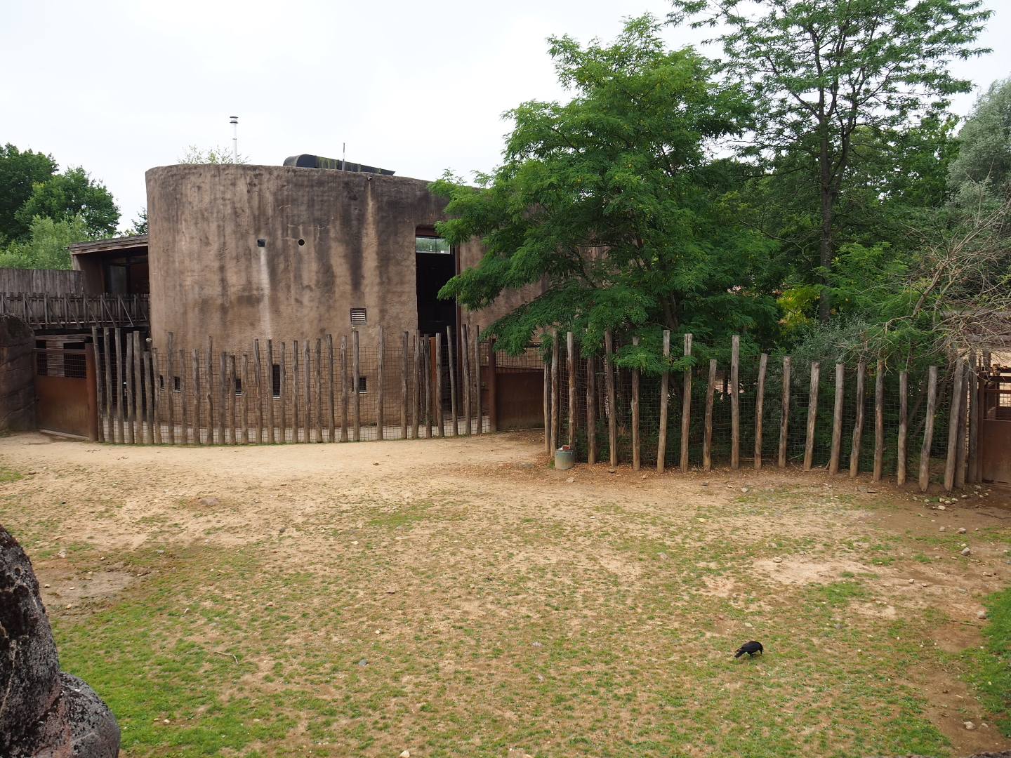 Savanna house and savanna separation paddock, 2019-07-21