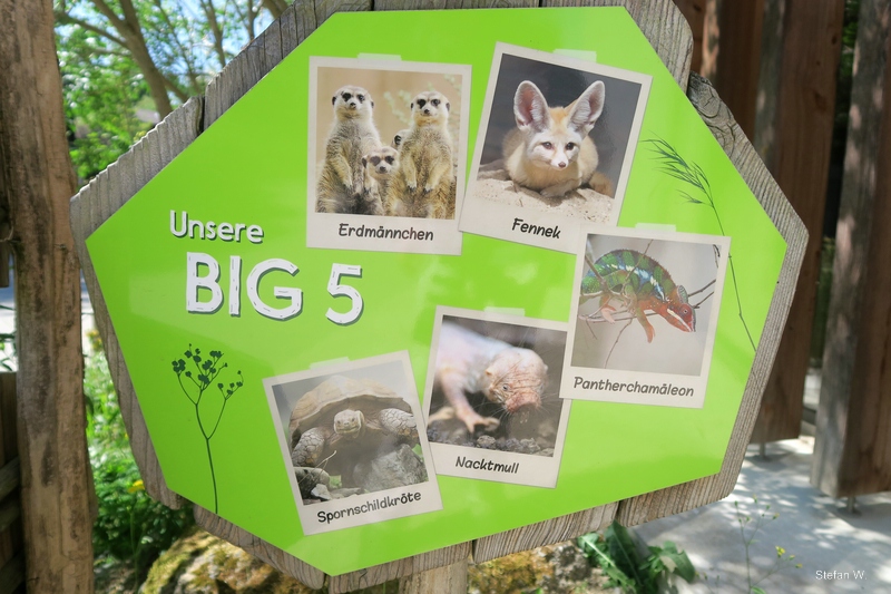 Savanna House - Big 5 of Walterzoo