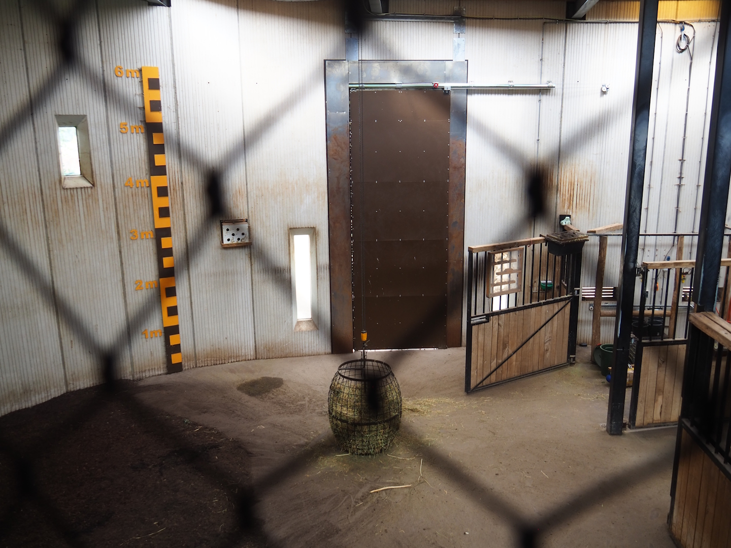 Savanna house - Giraffe stable, 2023-07-18