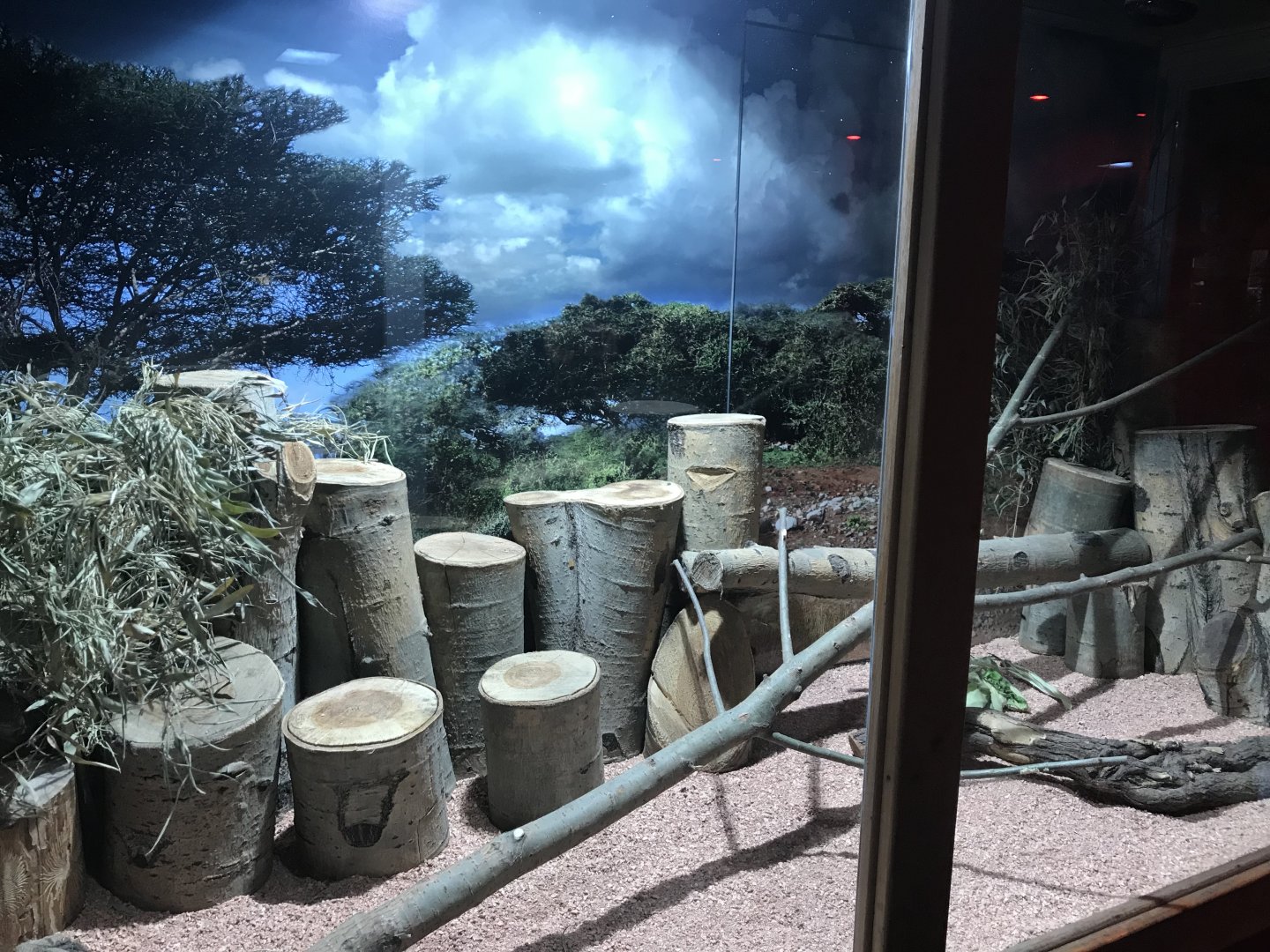 Savanna House - Gundi exhibit 171018