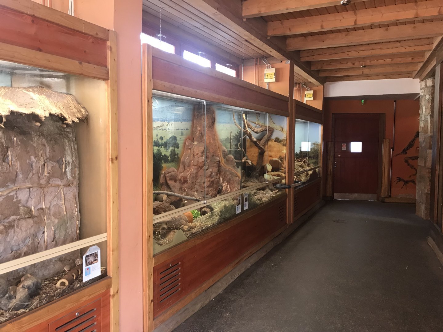Savanna House - Indoor exhibits 171018