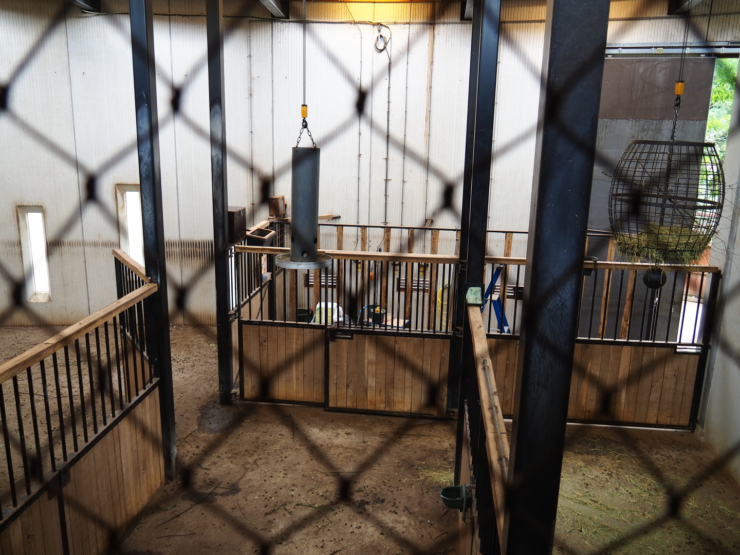 Savanna house stables, 2019-07-21