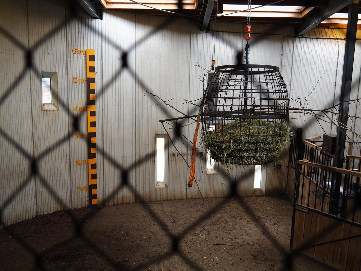 Savanna house stables, 2019-07-21