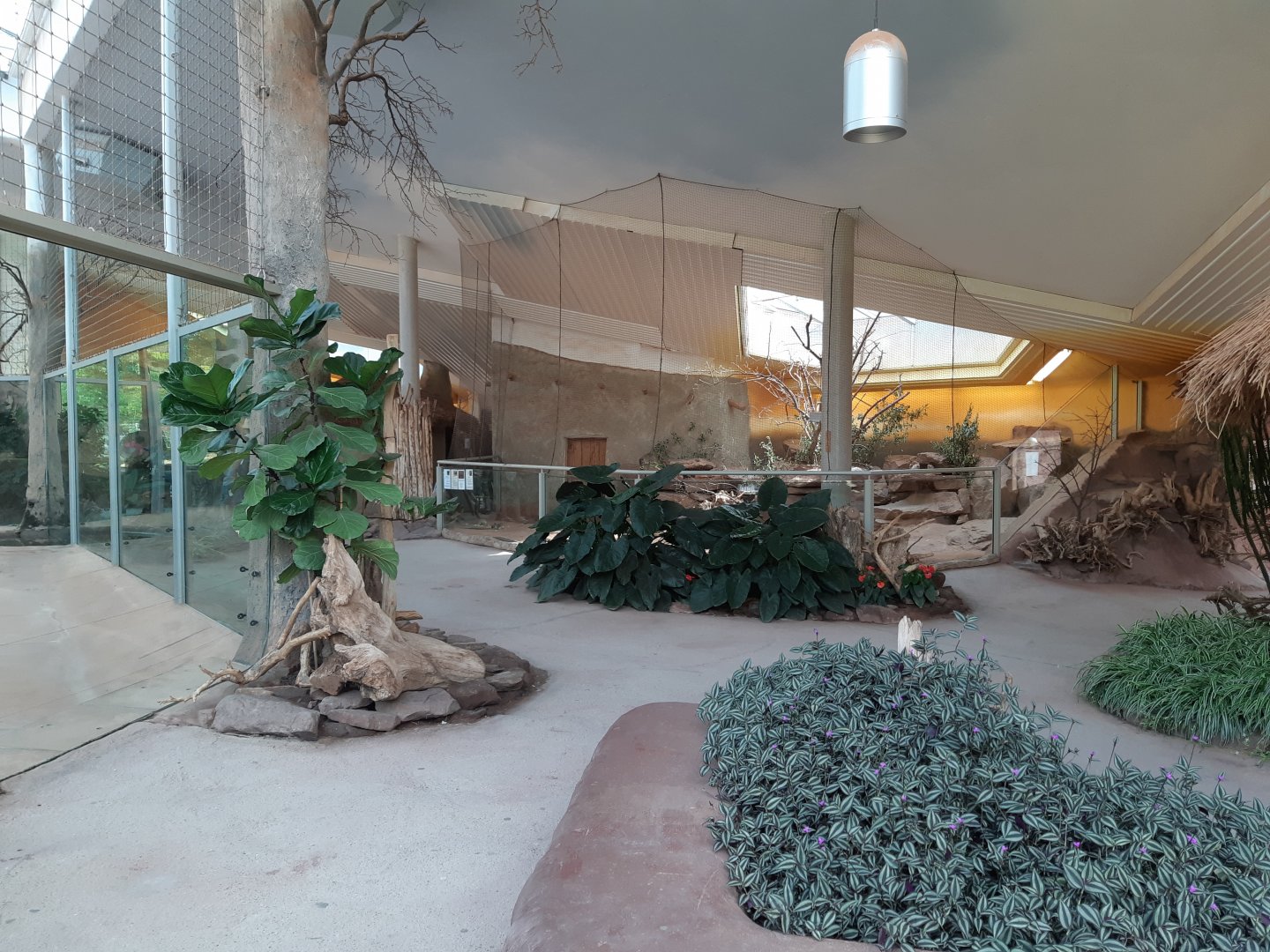 Savanna house - Zoopark Erfurt