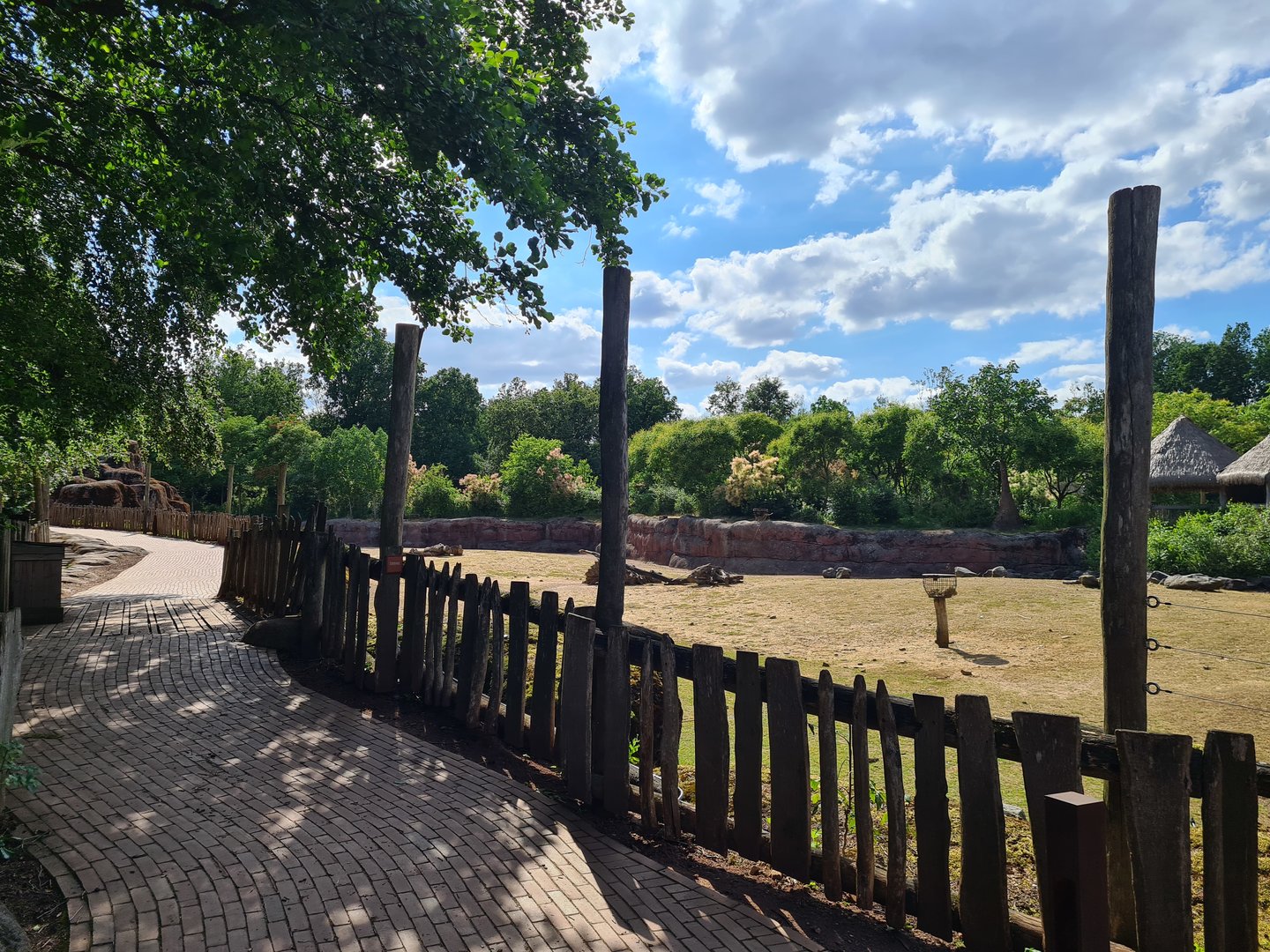 Savanna - Main Savannah paddock