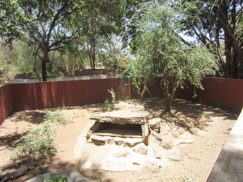 Savanna Monitor enclosure