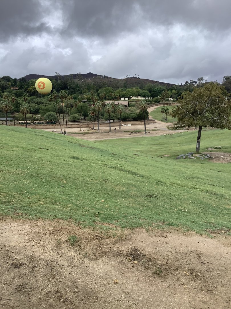 Savanna Overlook 10/9/21
