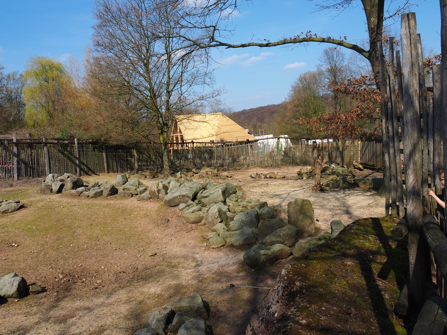 Savanna paddock, 2019-03-30