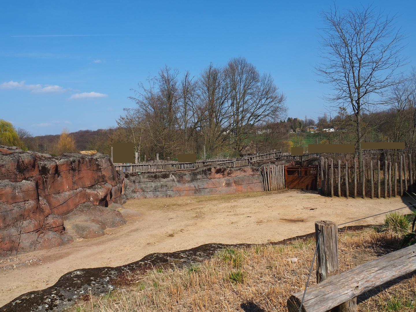 Savanna paddock, 2019-03-30