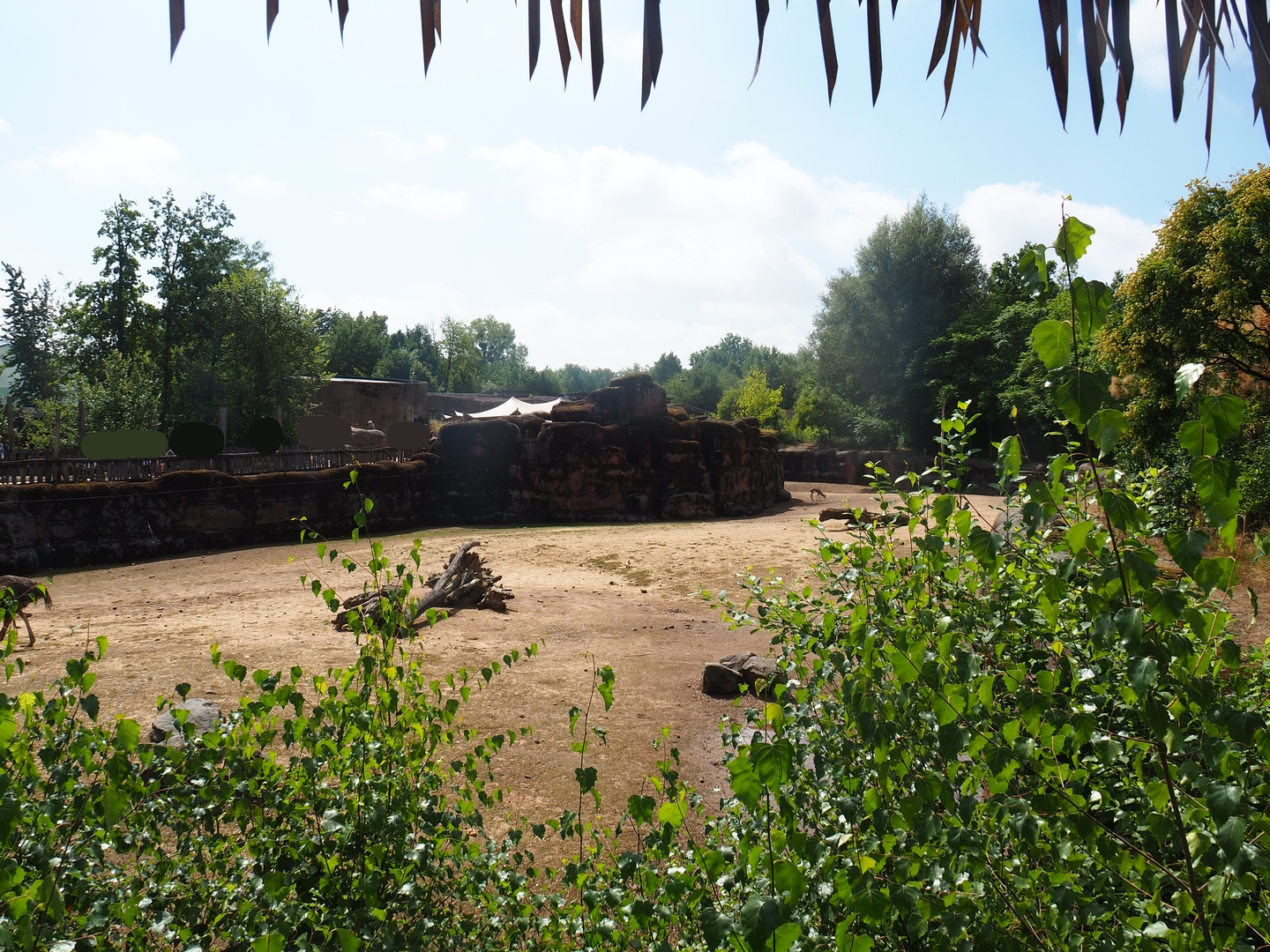 Savanna paddock, 2022-08-20