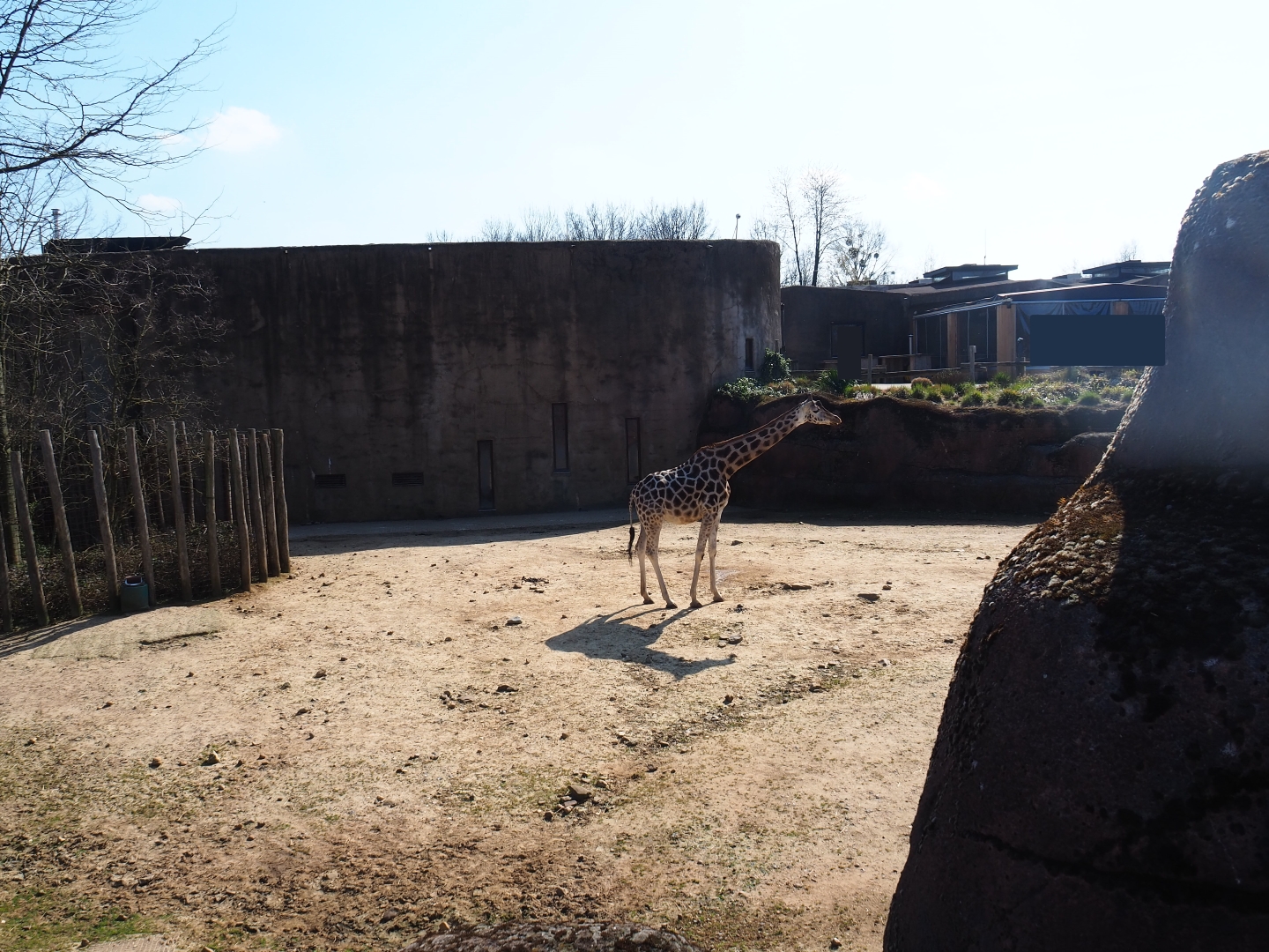 Savanna paddock and house, 2019-03-30