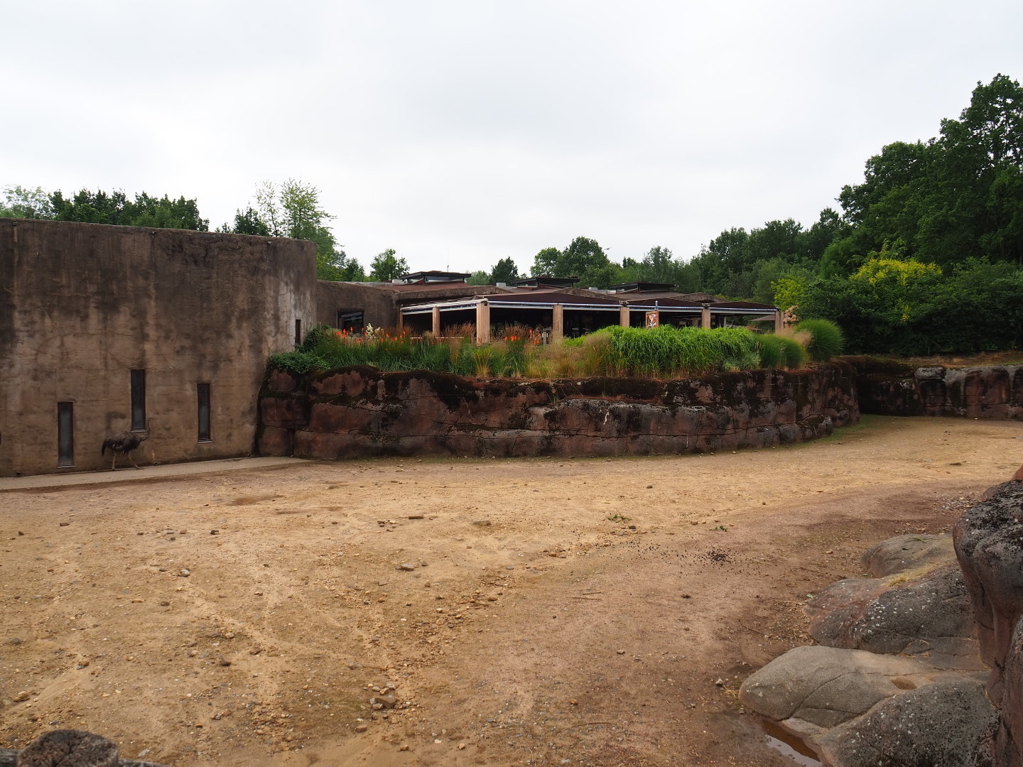 Savanna paddock and house, 2019-07-21