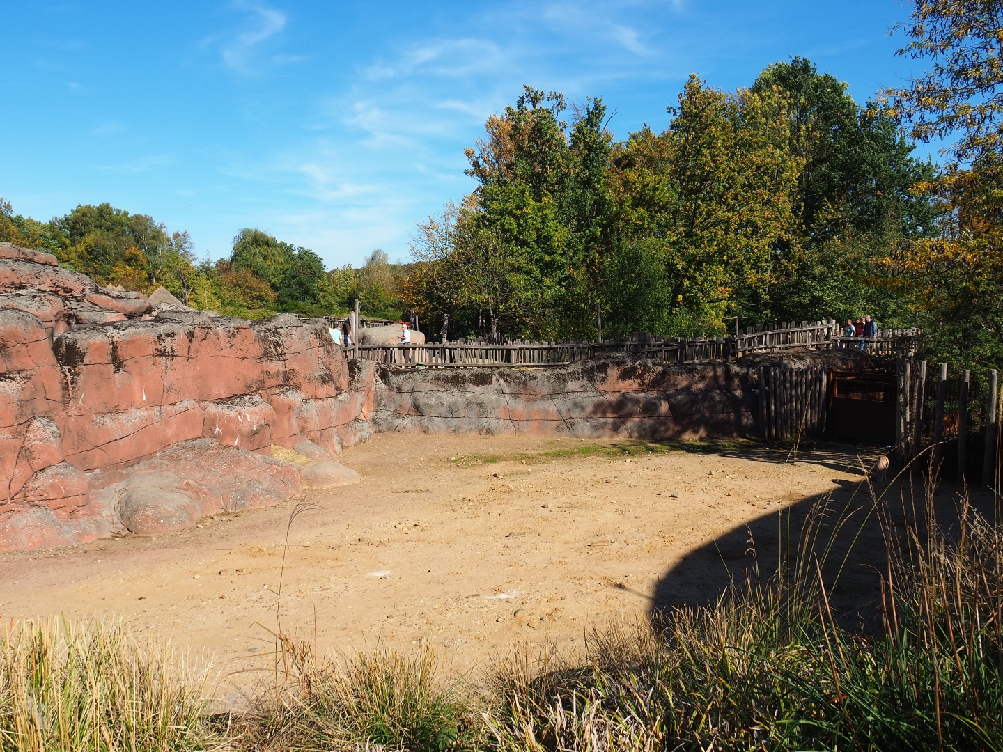 Savanna paddock (Oct 13th, 2018)