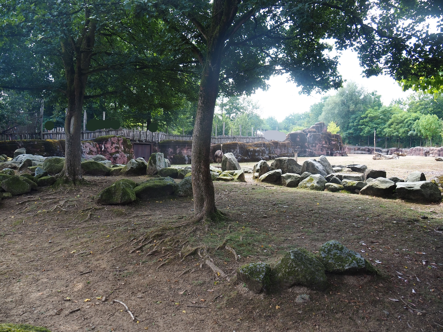 Savanna paddock - Rocky area with trees, 2022-08-20