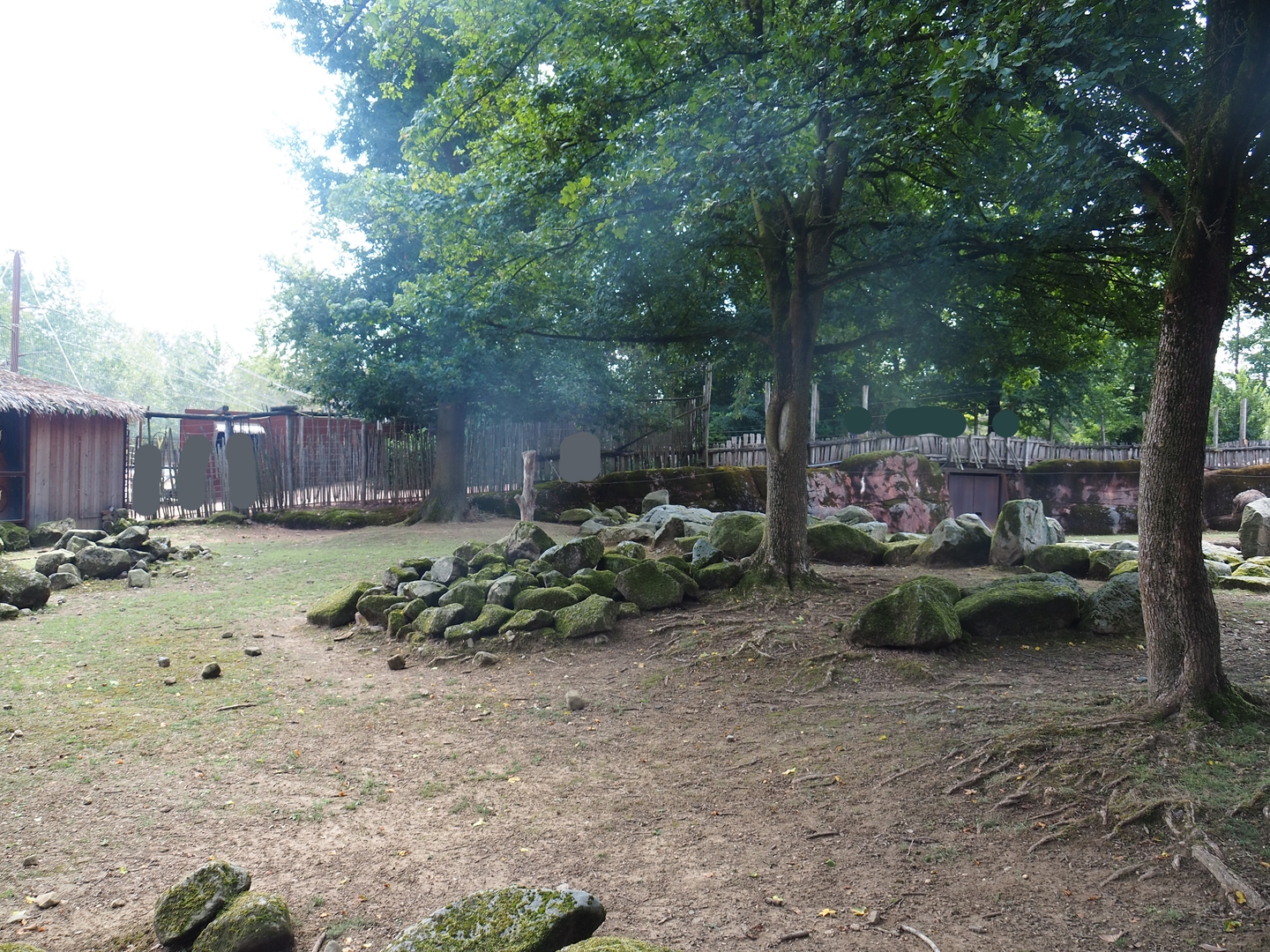 Savanna paddock - Rocky area with trees, 2022-08-20