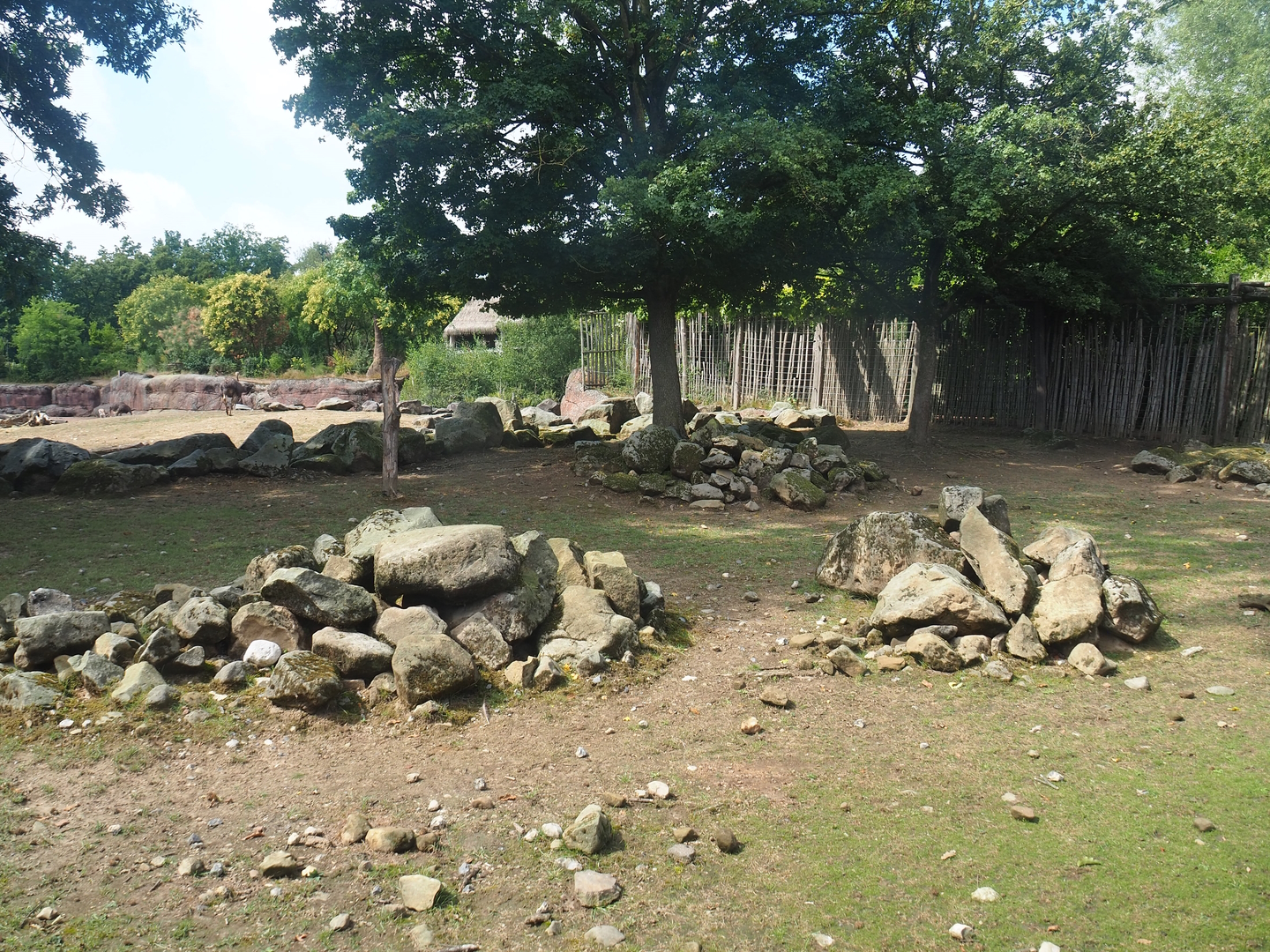 Savanna paddock - Rocky area with trees, 2022-08-20