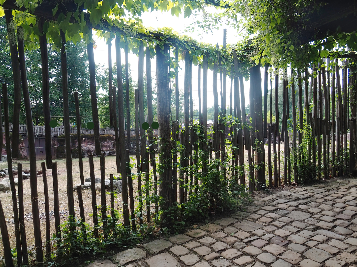 Savanna paddock viewing area, 2022-08-20