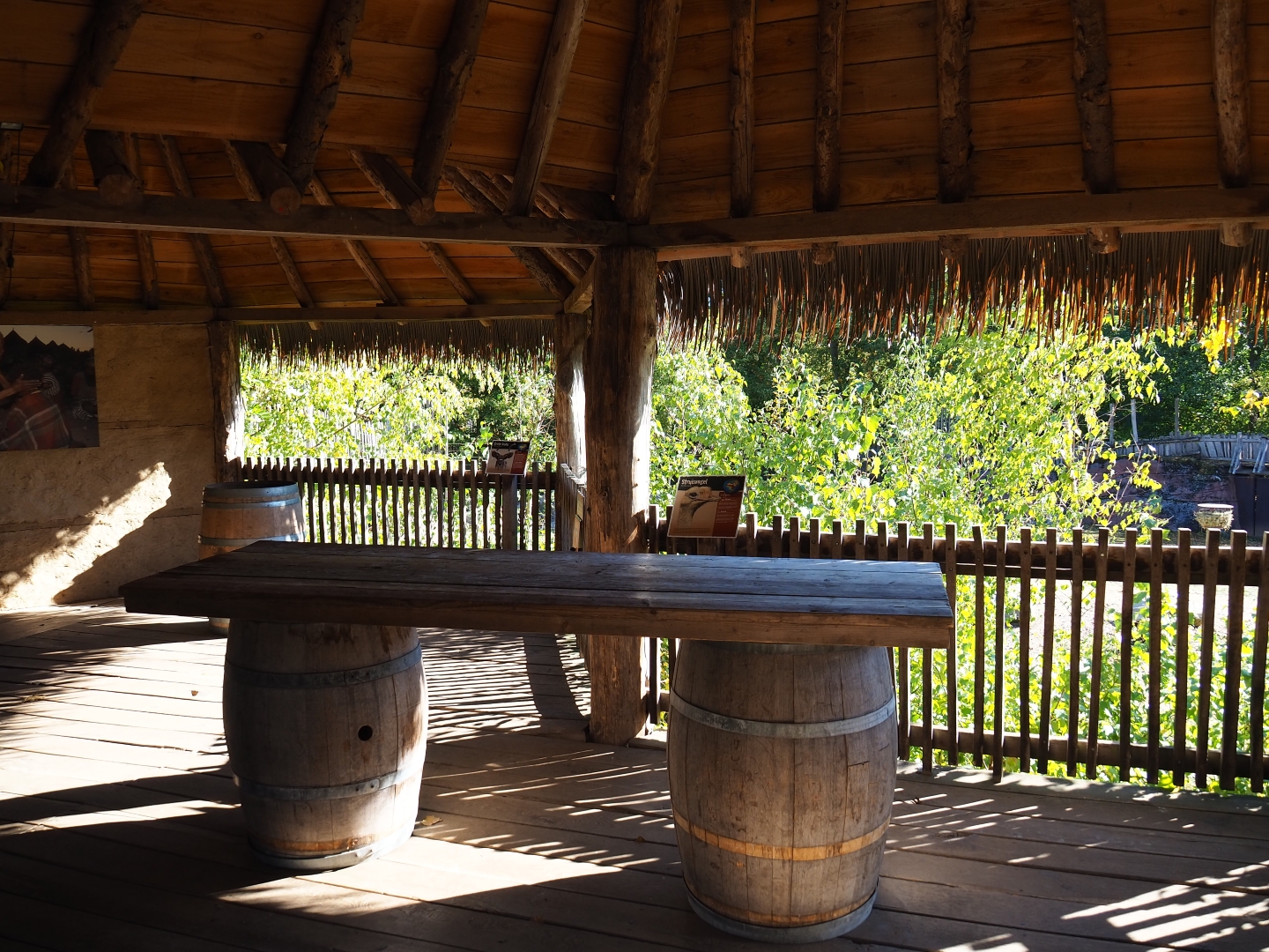 Savanna paddock viewing area (Oct 13th, 2018)