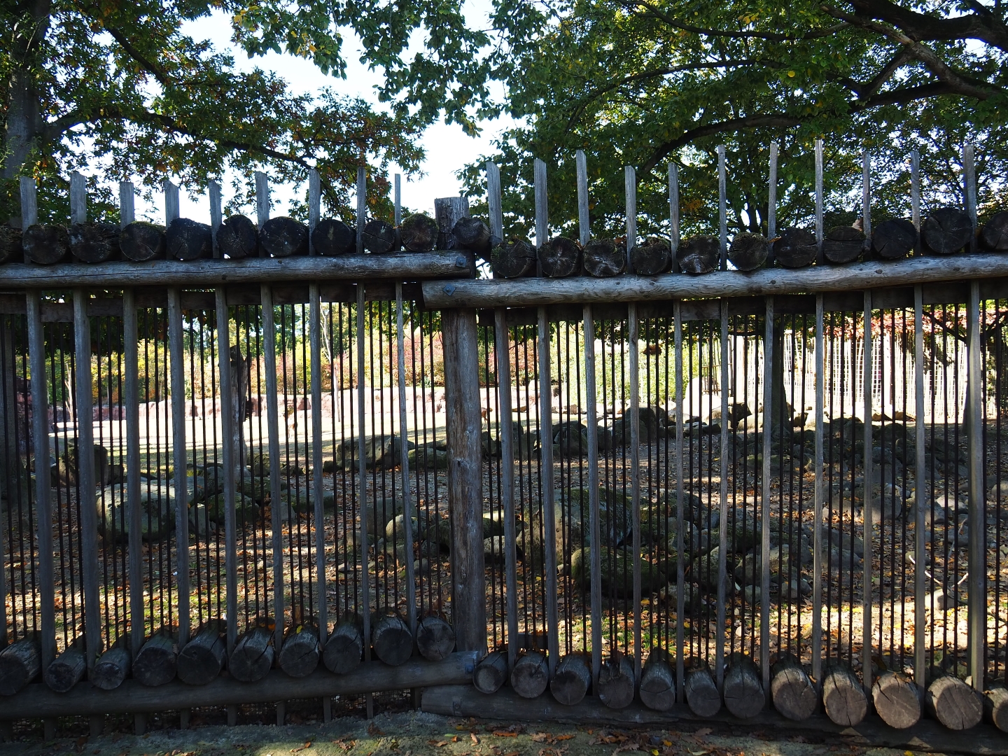 Savanna paddock viewing area (Oct 13th, 2018)