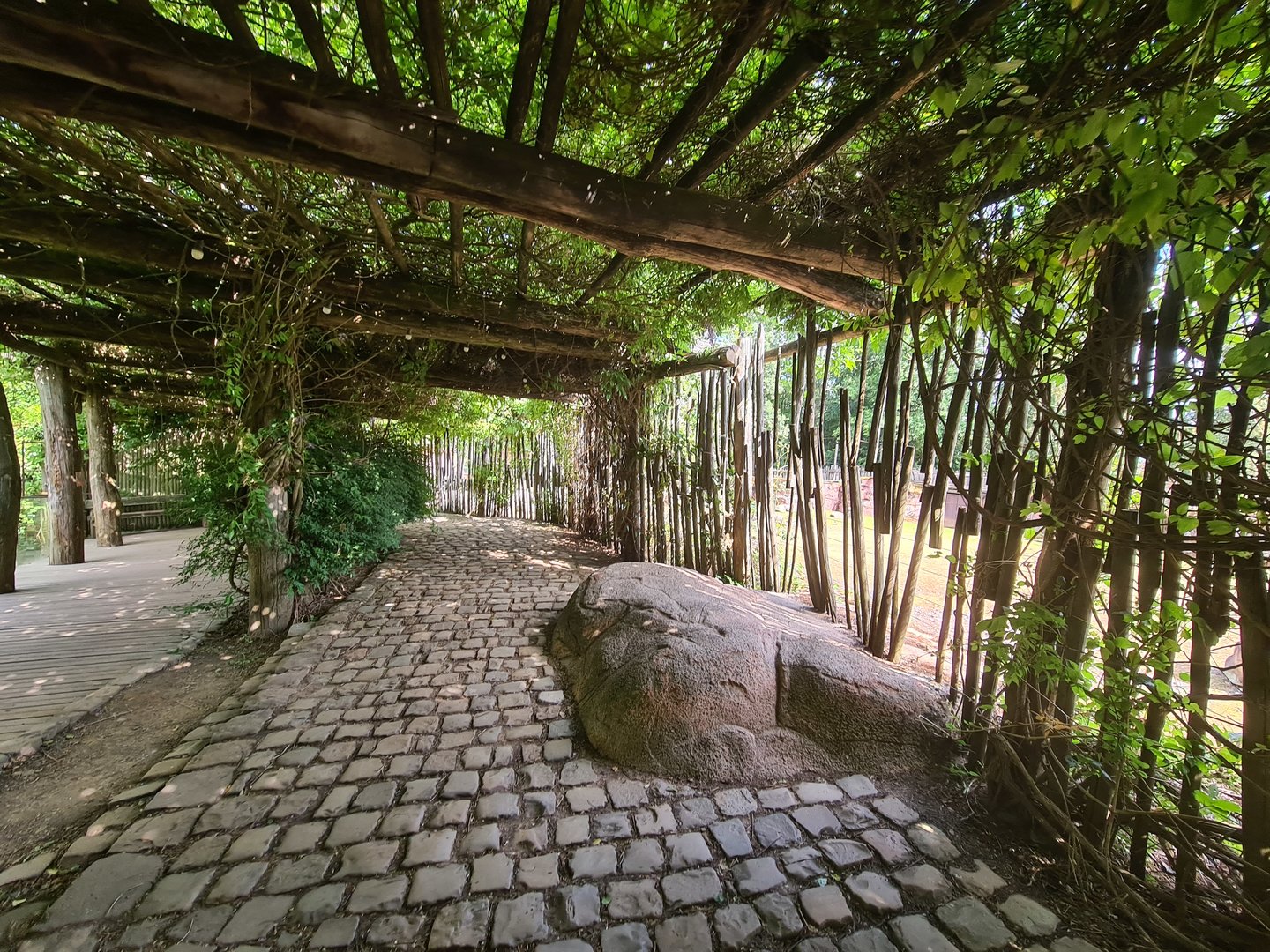 Savanna - Path past main Savannah paddock