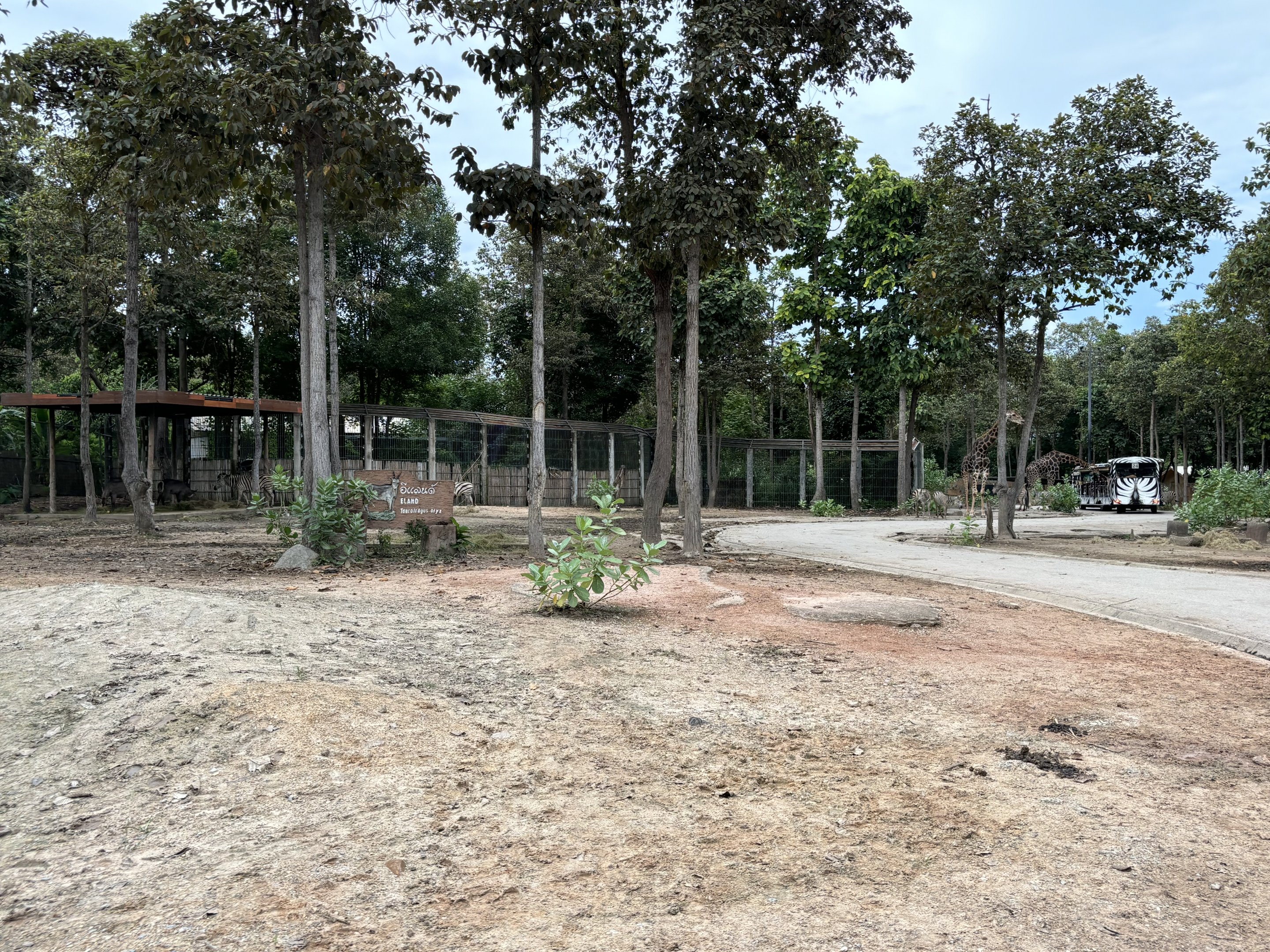 Savanna Safari - African Paddock