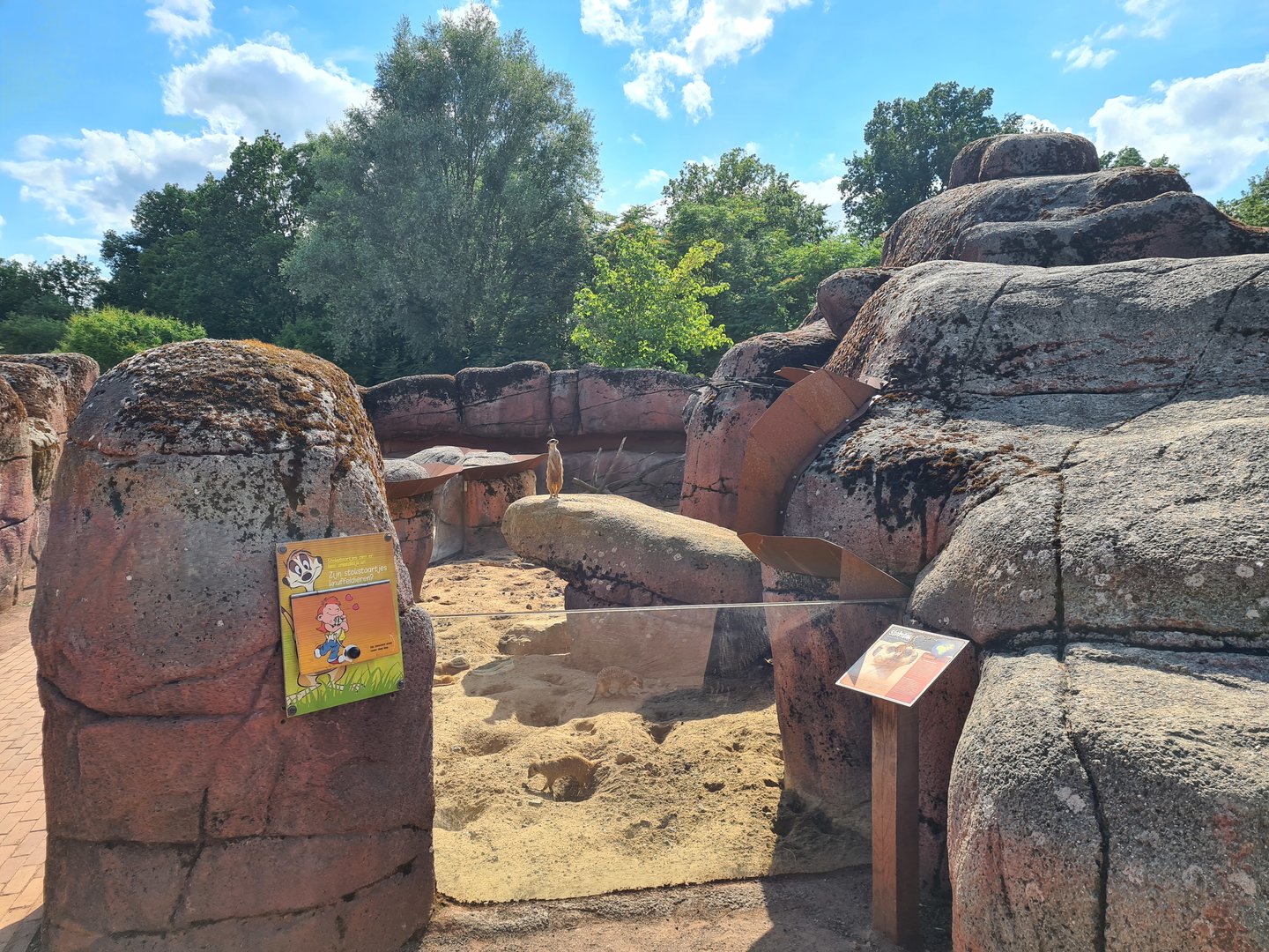 Savanna - Second Meerkat enclosure