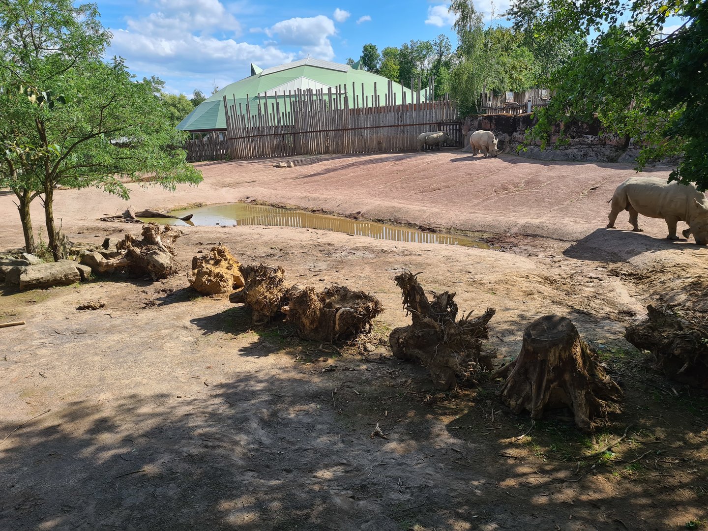 Savanna - Southern White Rhinoceros enclosure