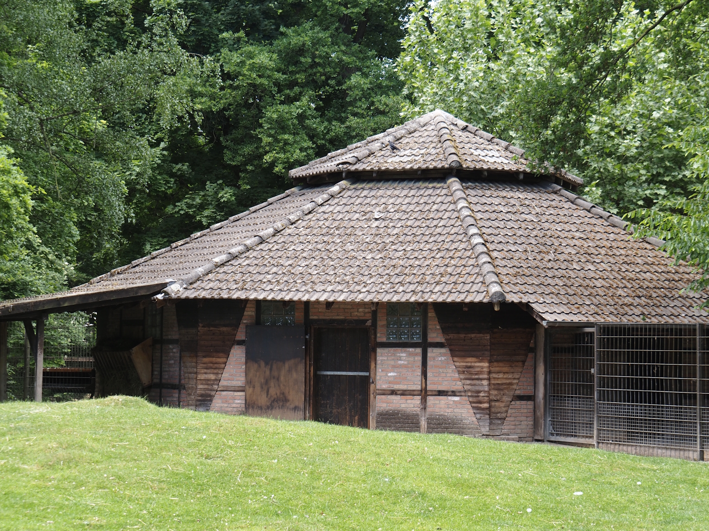 Savanna stable building, Western sitatunga and Eastern grey crowned crane side, 2025-05-22