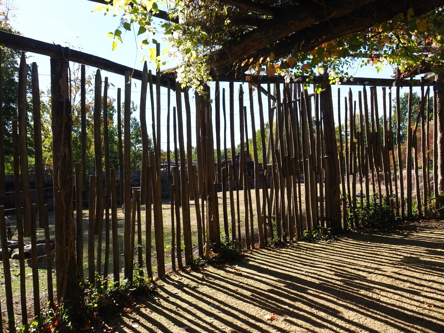 Savanna viewing area (Oct 13th, 2018)