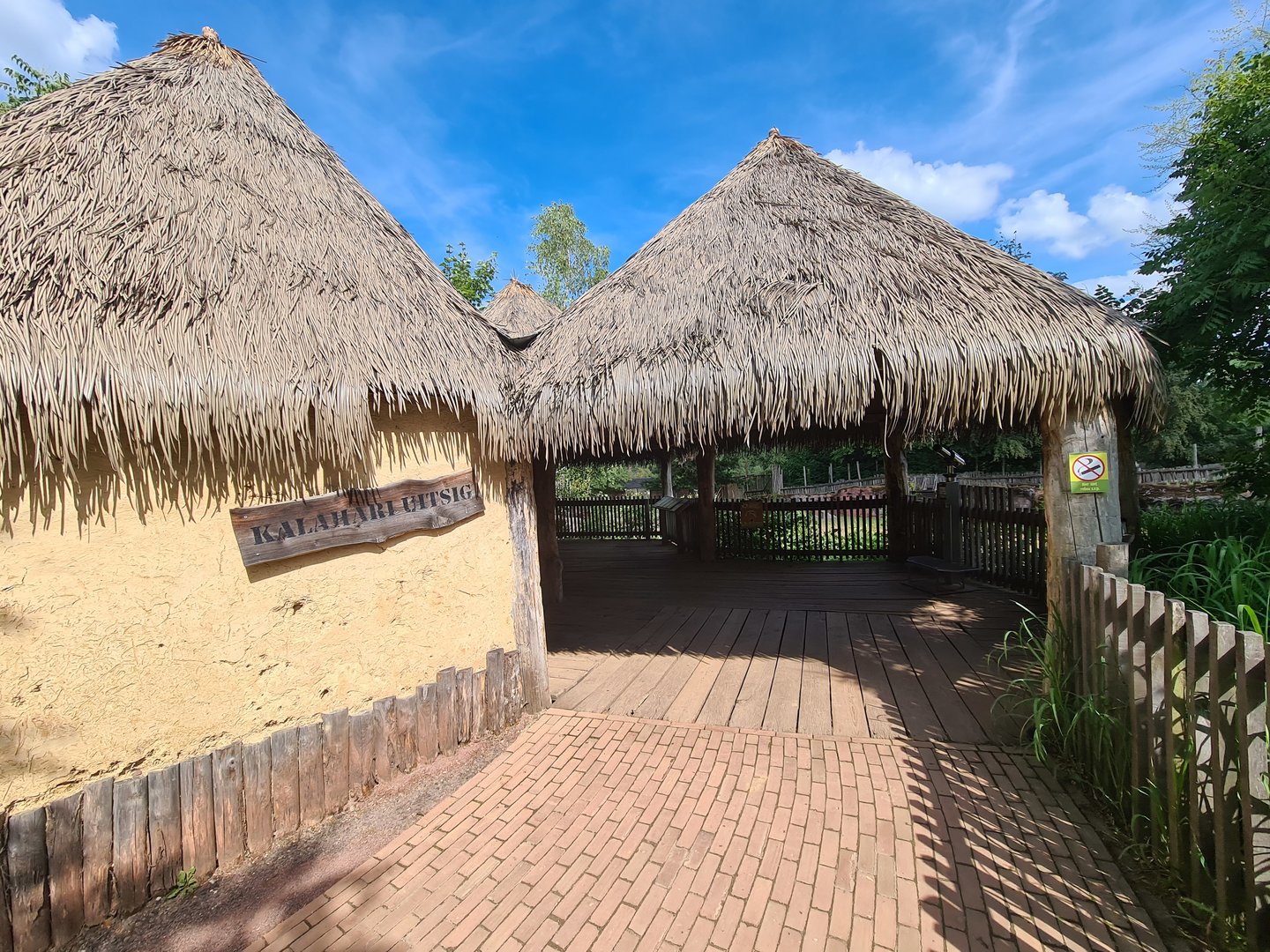 Savanna - Viewing area to main Savannah paddock