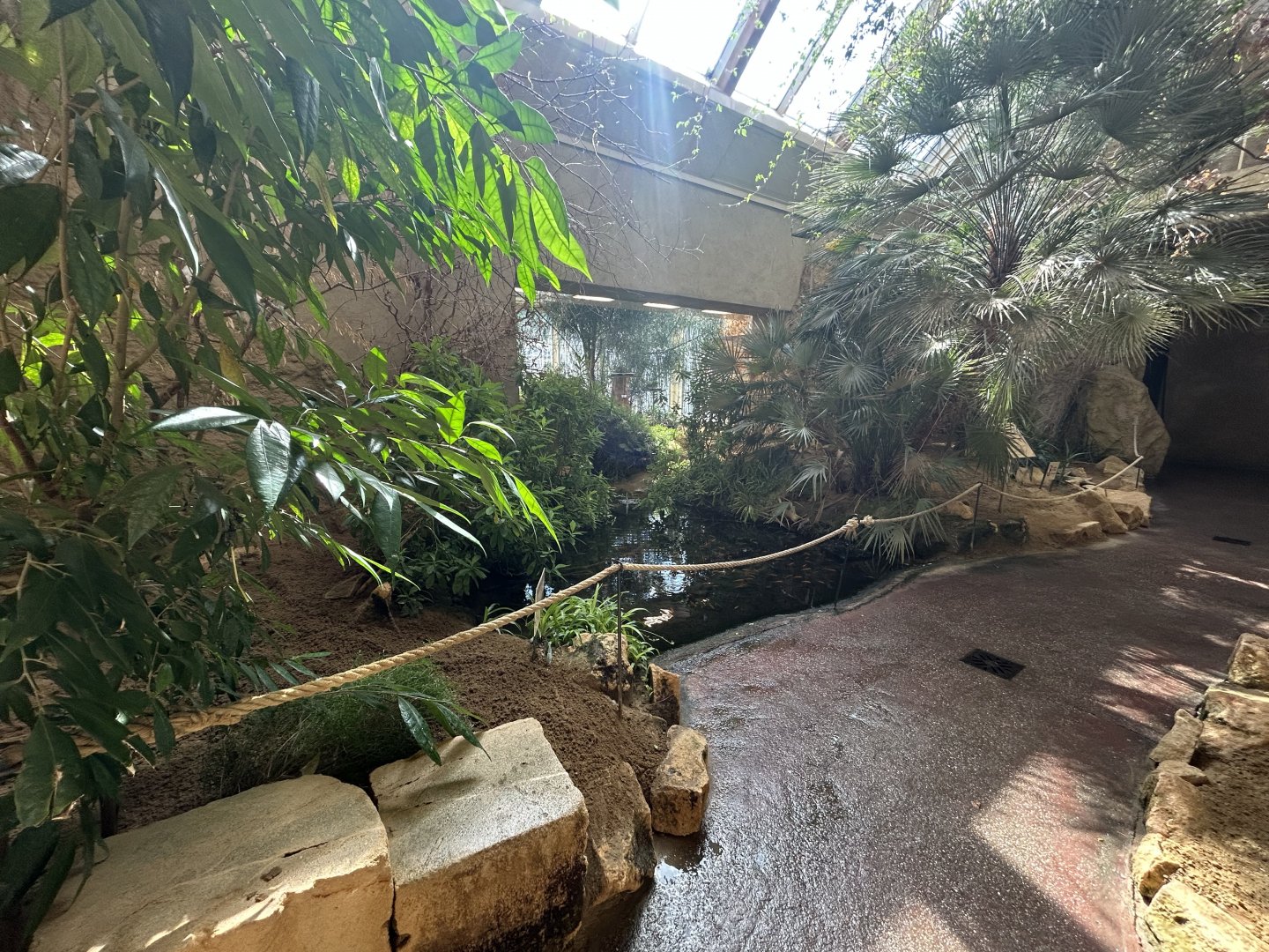 Savanna Walkthrough - Bird House