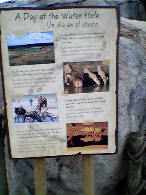 Savanna waterhole interpretive sign