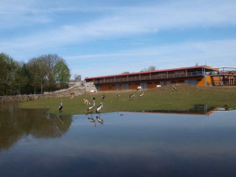 Savannah and director's house