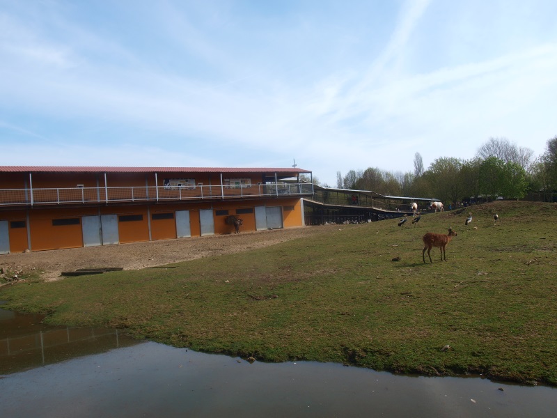 Savannah and Savannah building (April 19th, 2015)