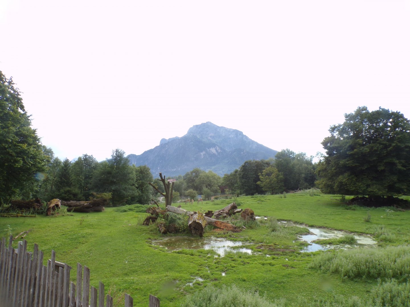 Savannah and the view 13.7.25