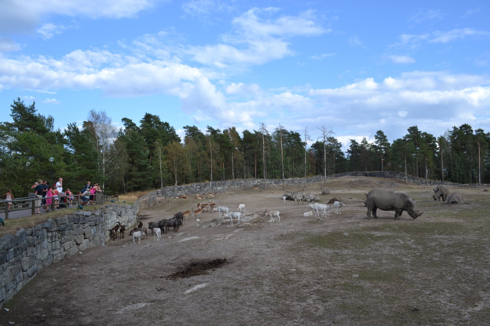 Savannah animals waiting to be let into the stable at Kolmården