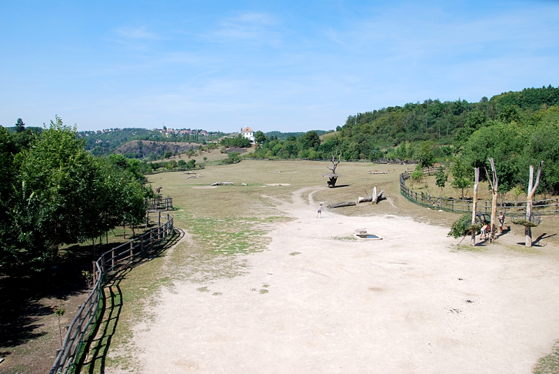 Savannah at Praha zoo