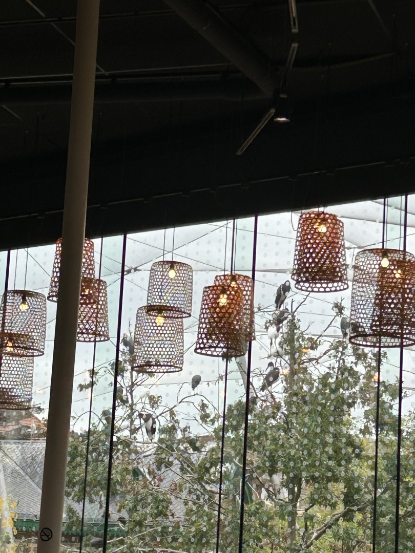 Savannah Aviary seen from the Savannah Restaurant