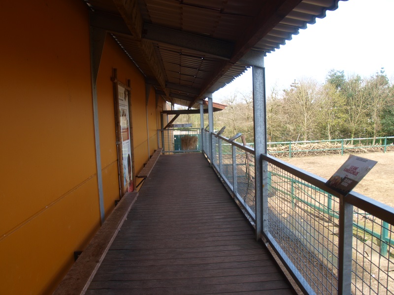 Savannah building viewing area (April 19th 2015)