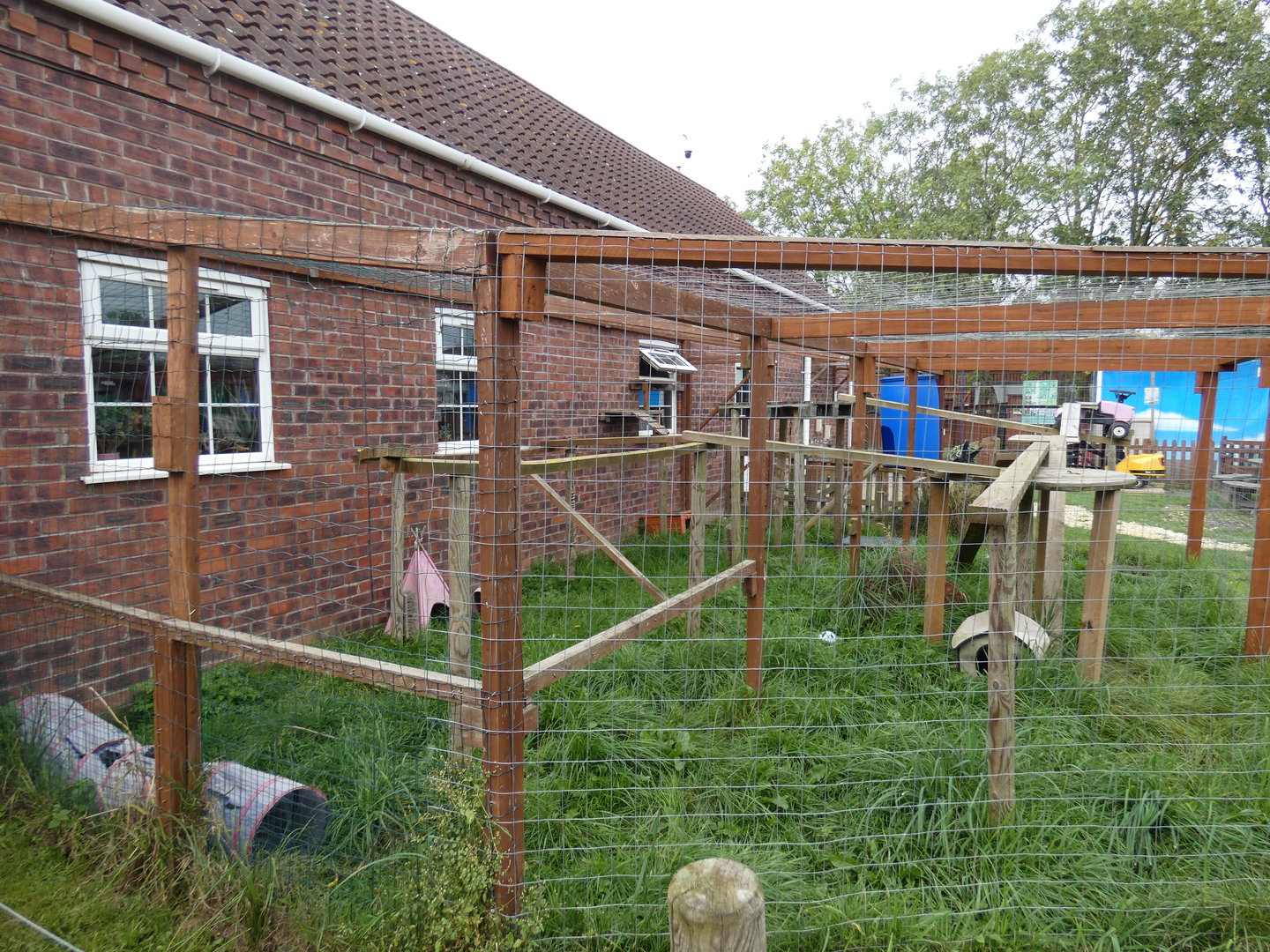 Savannah cat enclosure