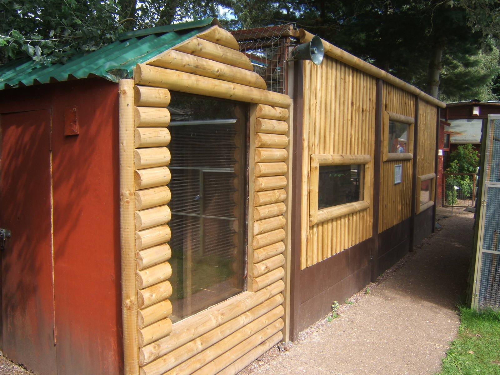 Savannah Cat viewing