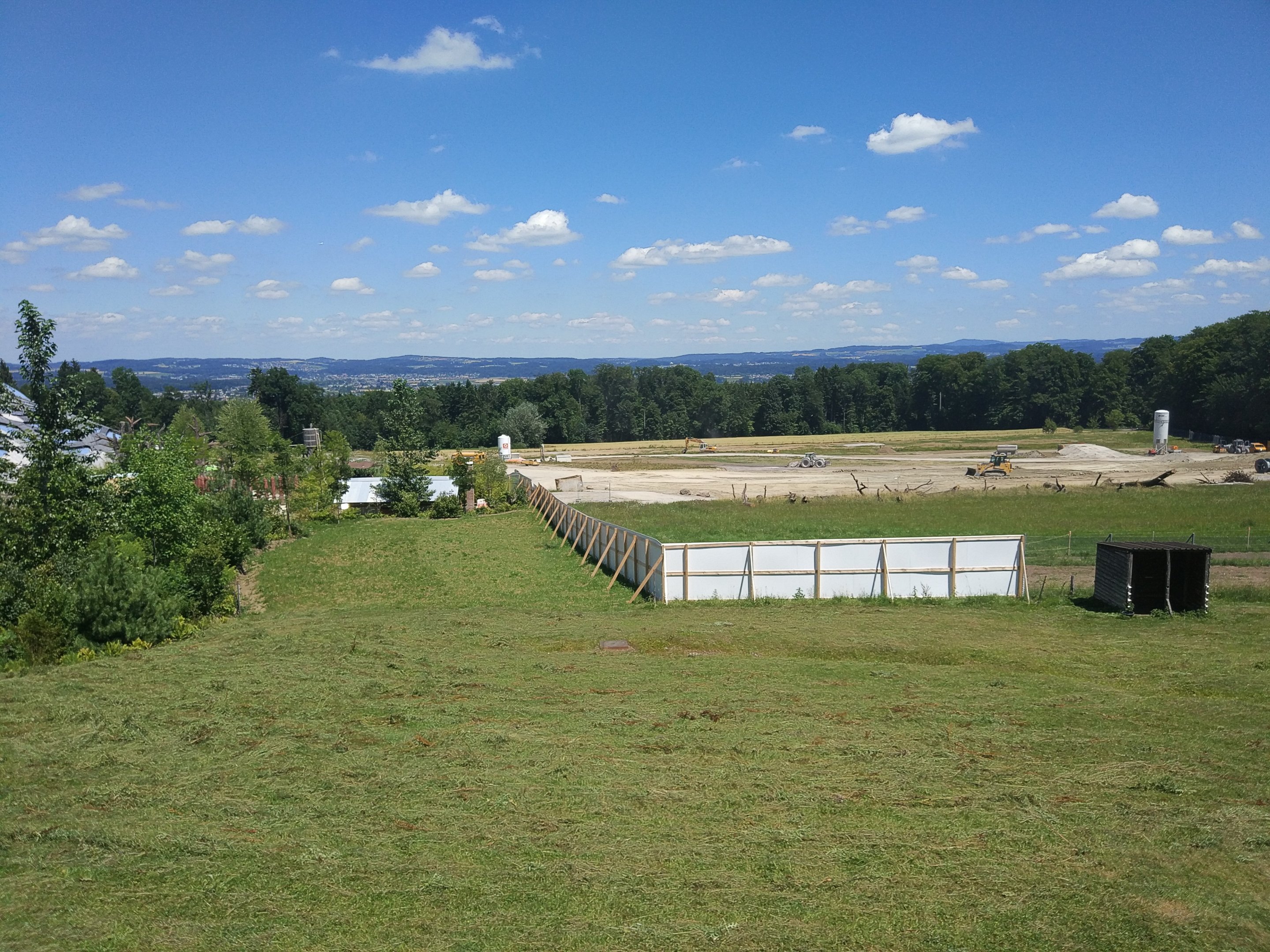 Savannah development - July 2017